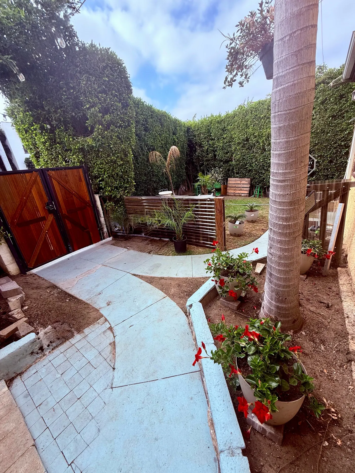 Yard — gate and garden